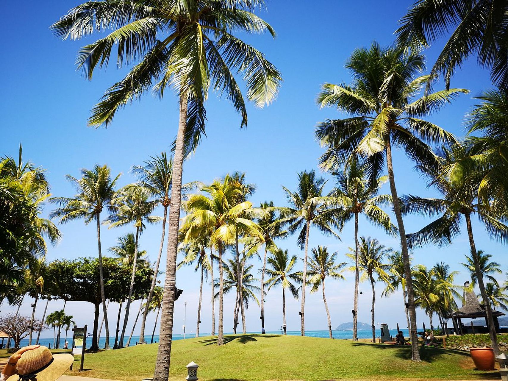 海南文昌东郊椰林风景区,在绵延十里的建华山海岸线上,葱翠的椰林