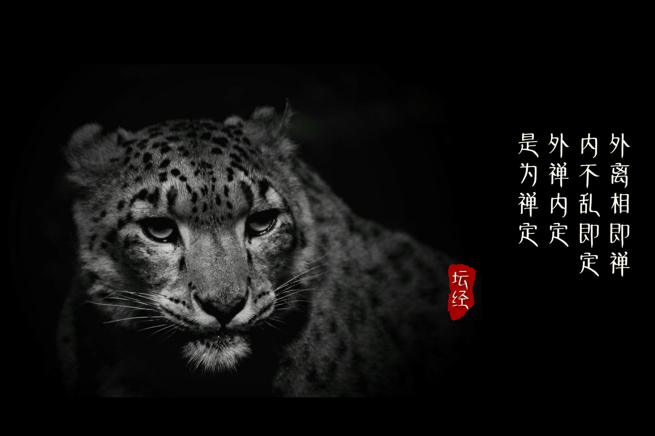 禅宗至典《六祖坛经》四句慧语,参透执着妄念,了悟尘凡机缘!