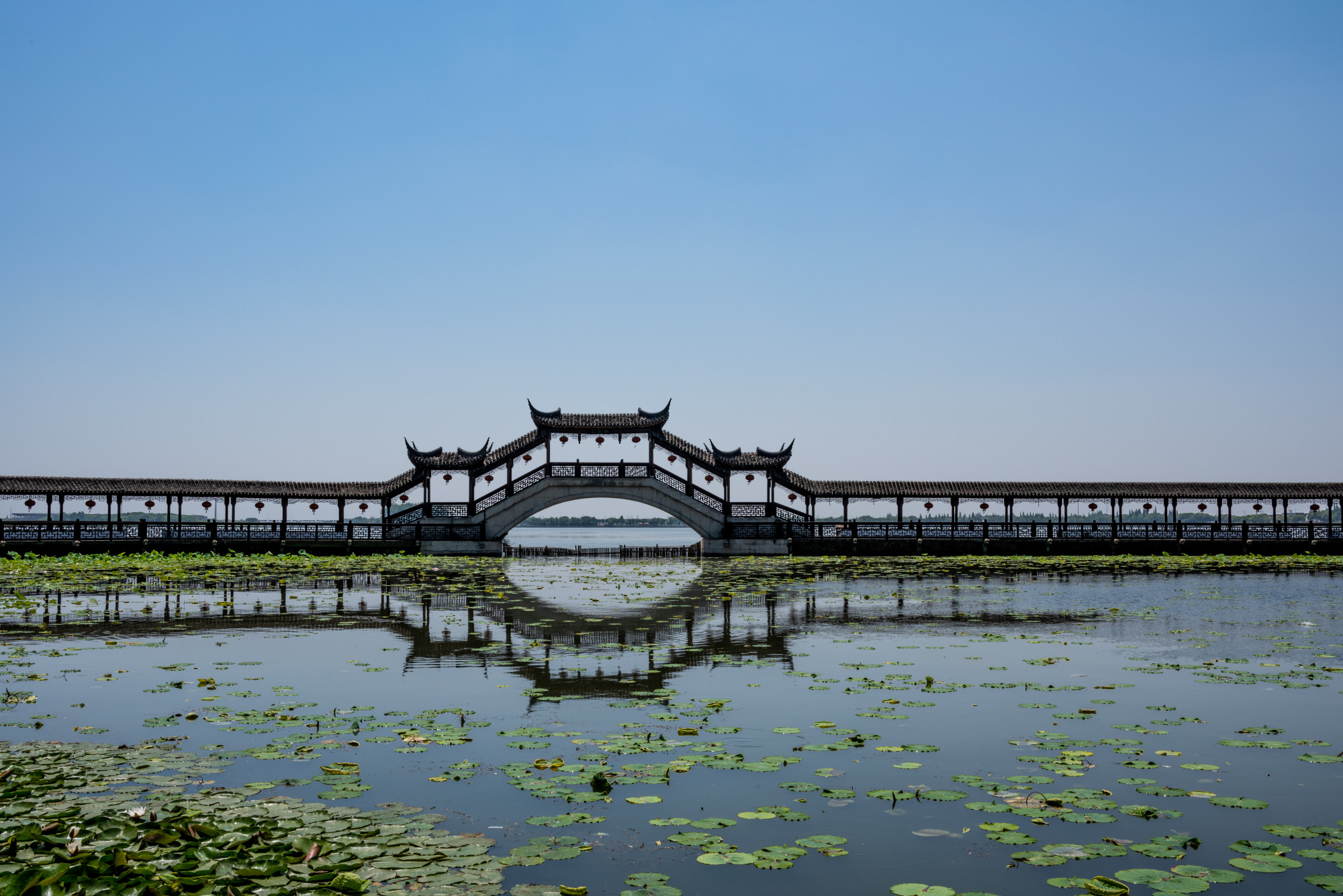 水乡佛国陈墓荡,碧水行舟锦溪房.——锦溪夏早