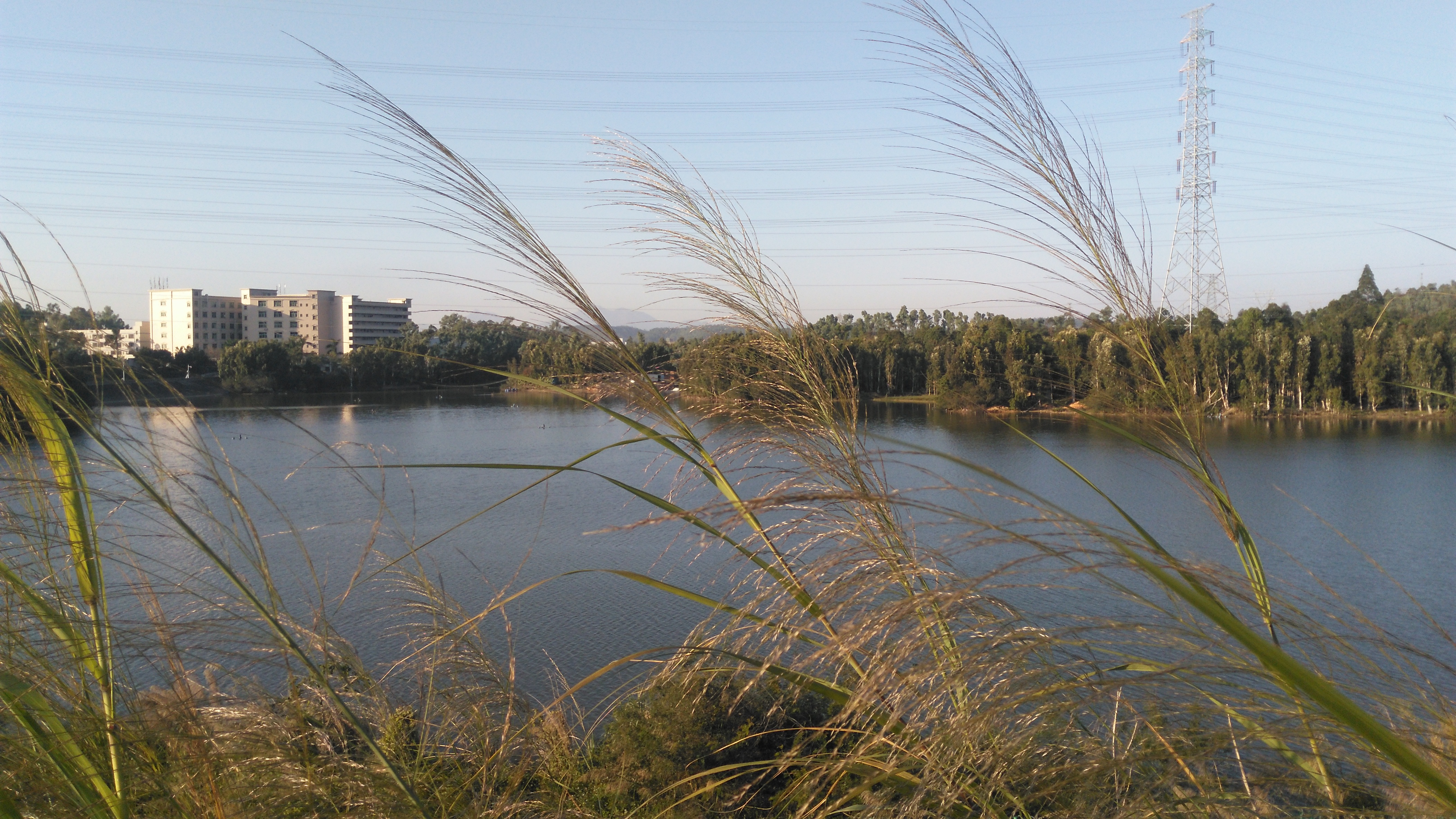 深圳坪山原来还藏着这样一个水库,名字叫三棵松