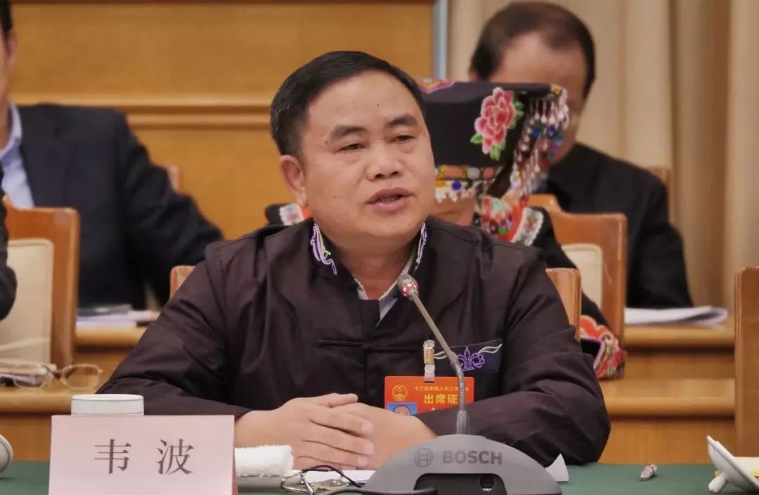 韦波代表幸福的烦恼:"我们村里也堵车了"