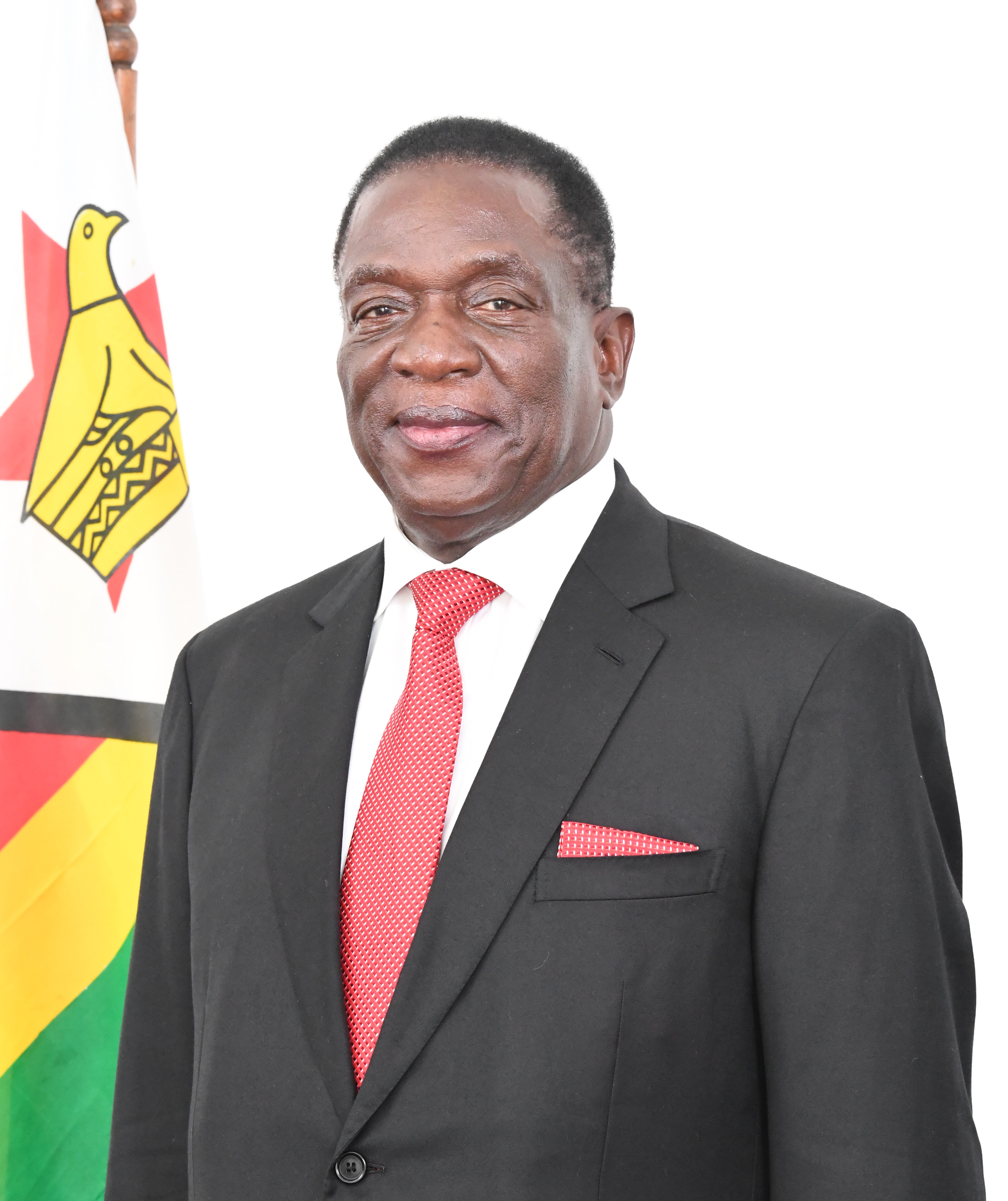 津巴布韦总统姆南加古瓦像