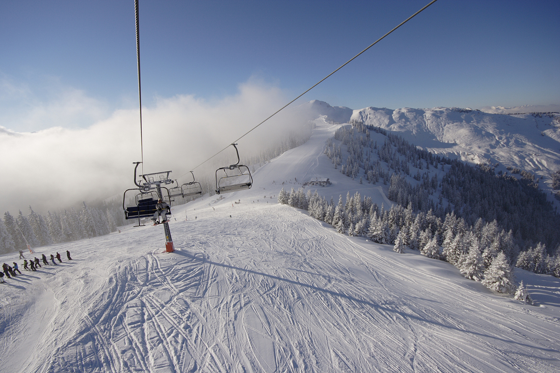 重庆仙女山的冬天很美,值得一去!