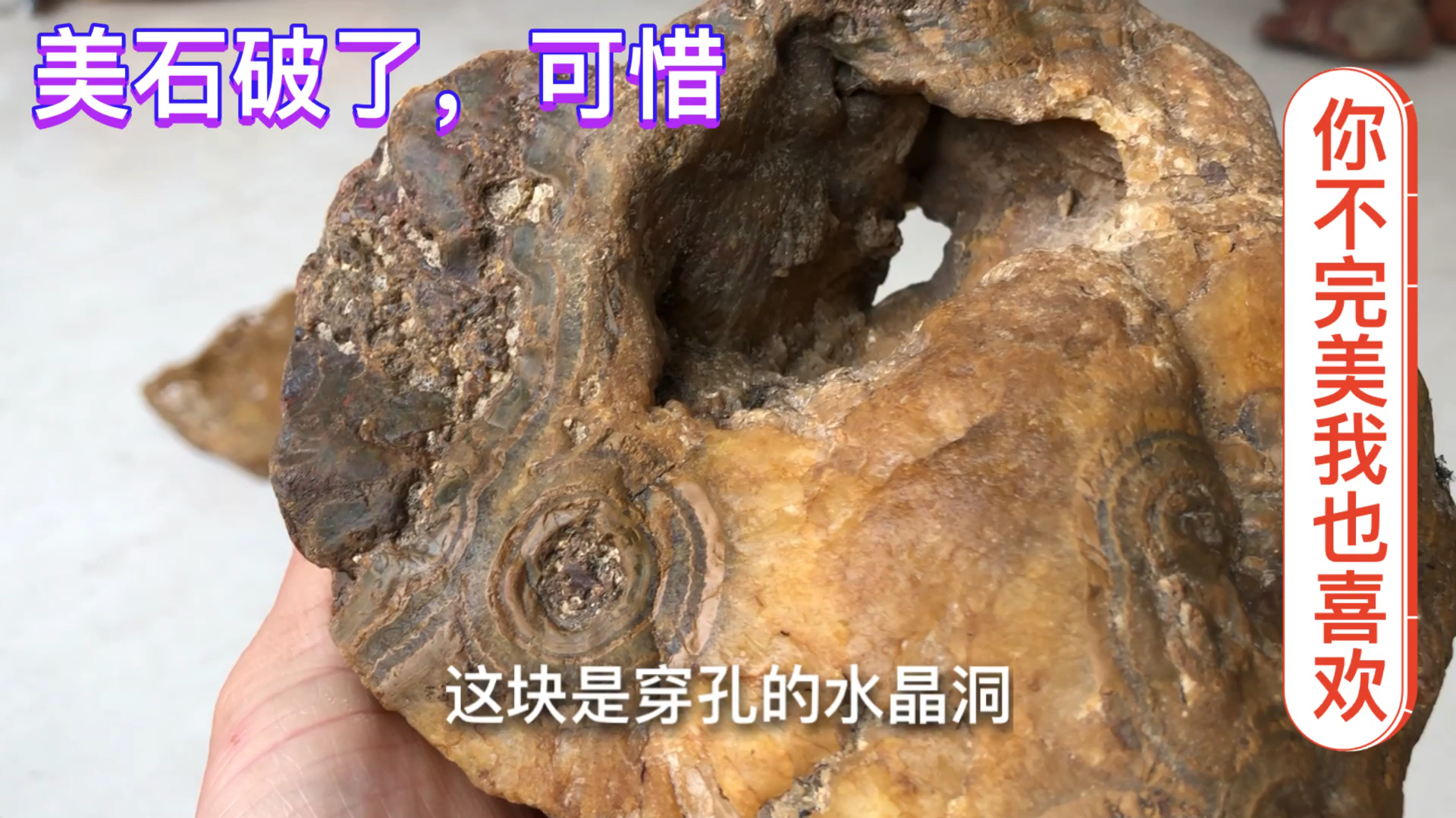 漂亮奇石被人敲坏了,小哥如何转变它的价值,鱼缸造景太漂亮了
