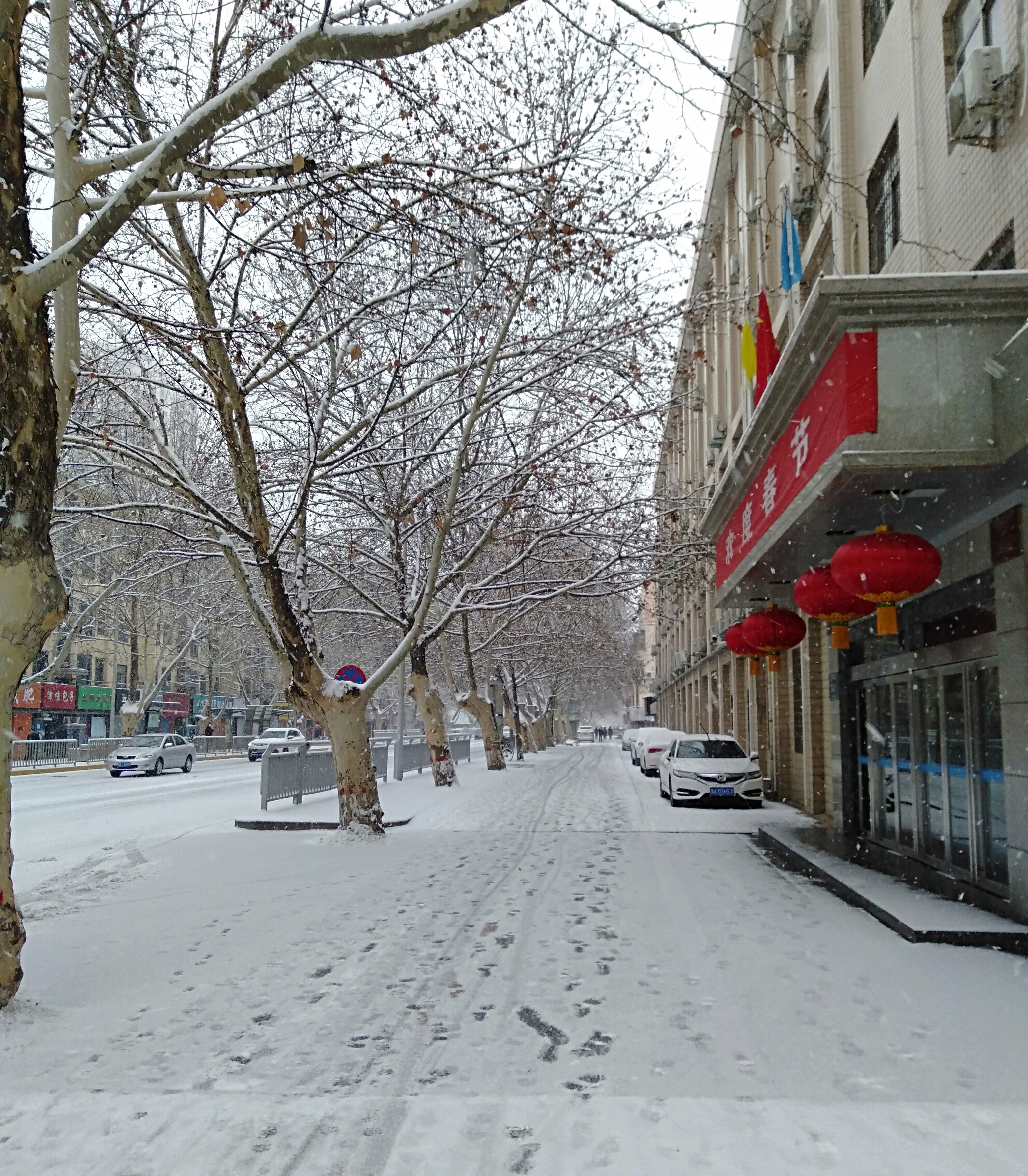郑州市区2019年新年第一场雪,瑞雪兆丰年,吉祥满中原