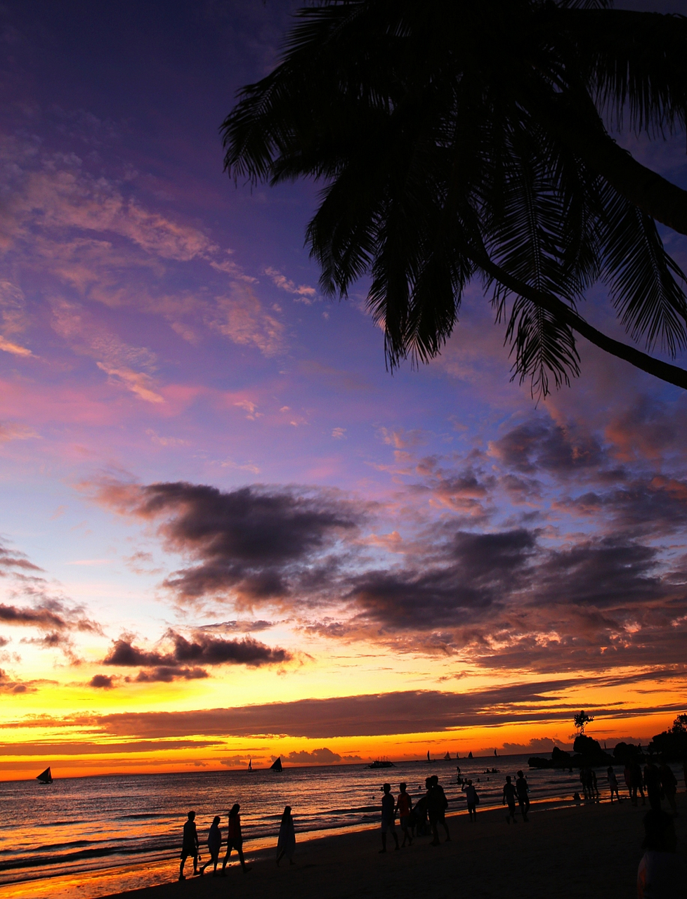 身处一片郁郁葱葱的椰林之中,海滩的浪花在脚边翻滚,夕阳的余晖映照