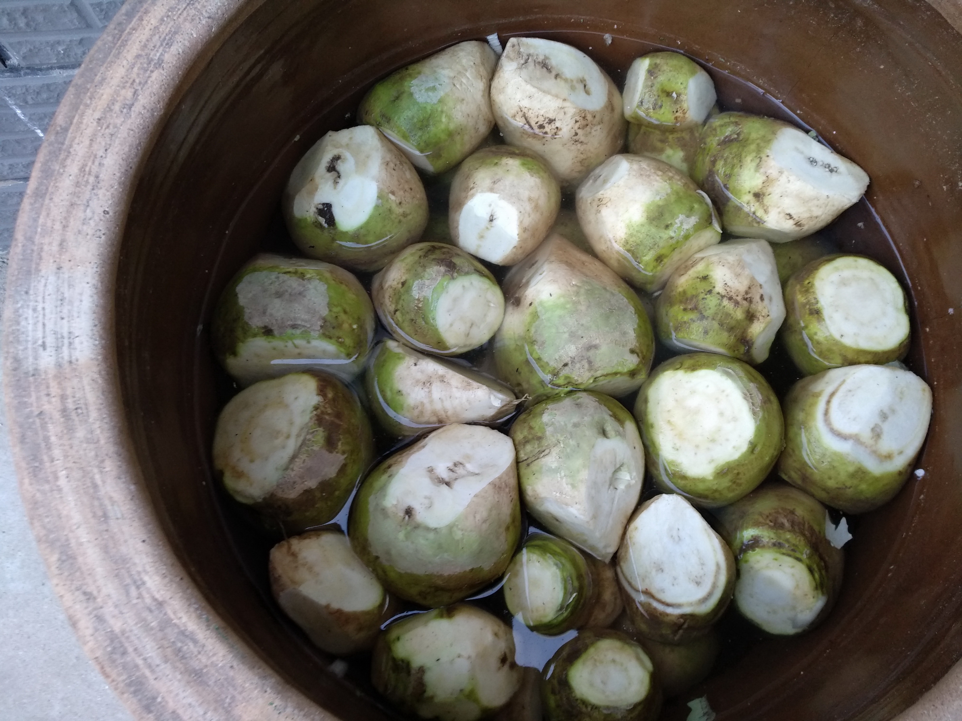 北方人青睐的芥菜疙瘩,从只有辣味到风味独特,是这样做到的