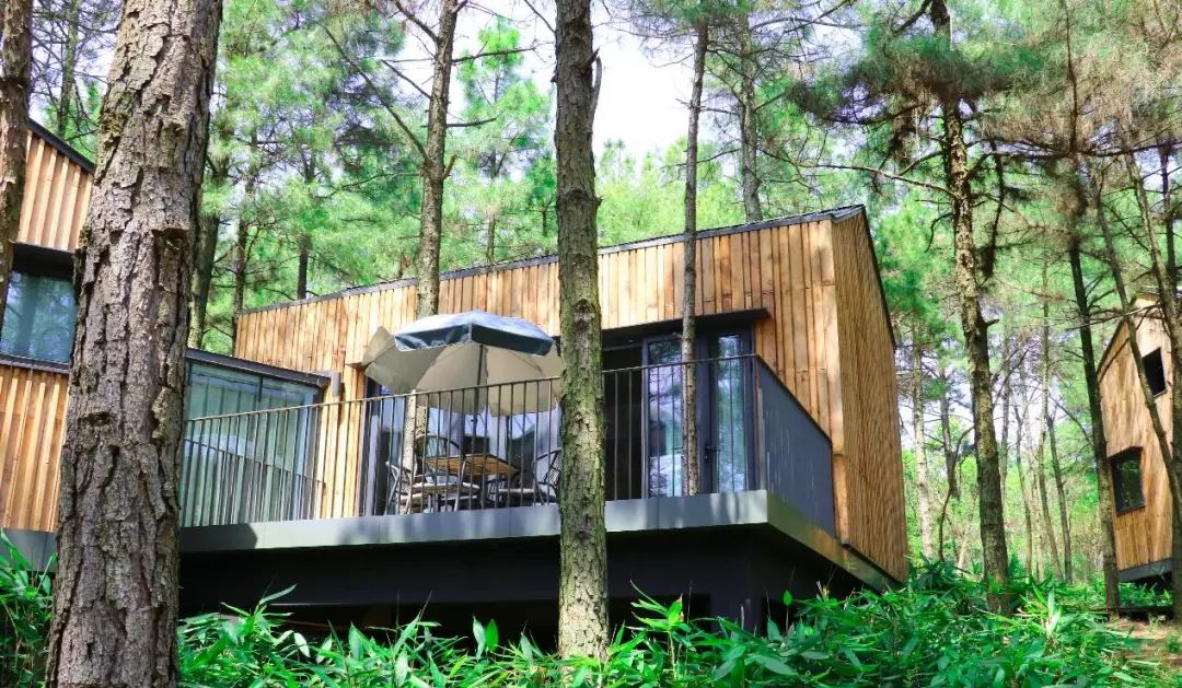 带你探寻童话故事中的小木屋,体验松林间的静谧野奢!