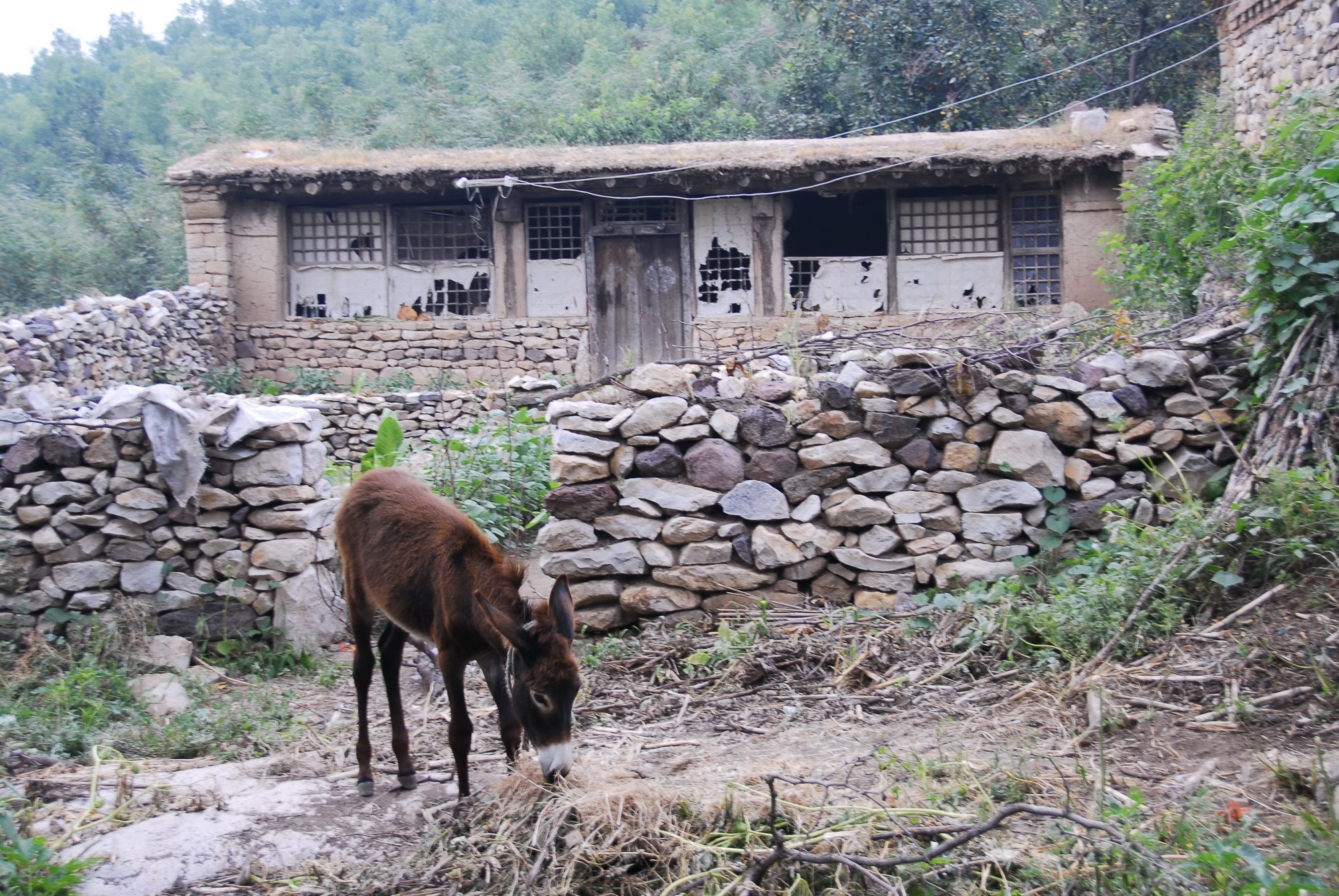 最美乡村:辽宁朝阳县"辽西民俗村"
