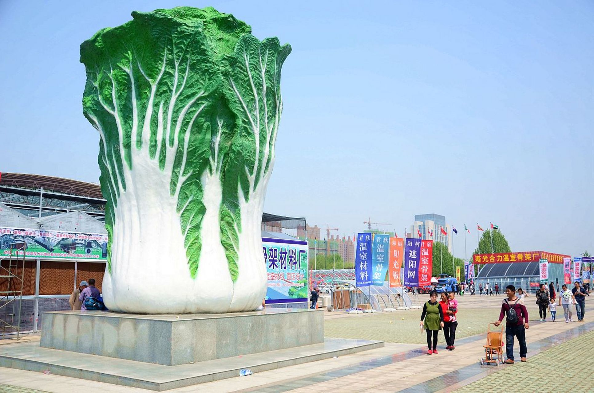 一项项蔬菜科技,让中国"菜篮子"更加丰盈. 山东寿光,了不起!