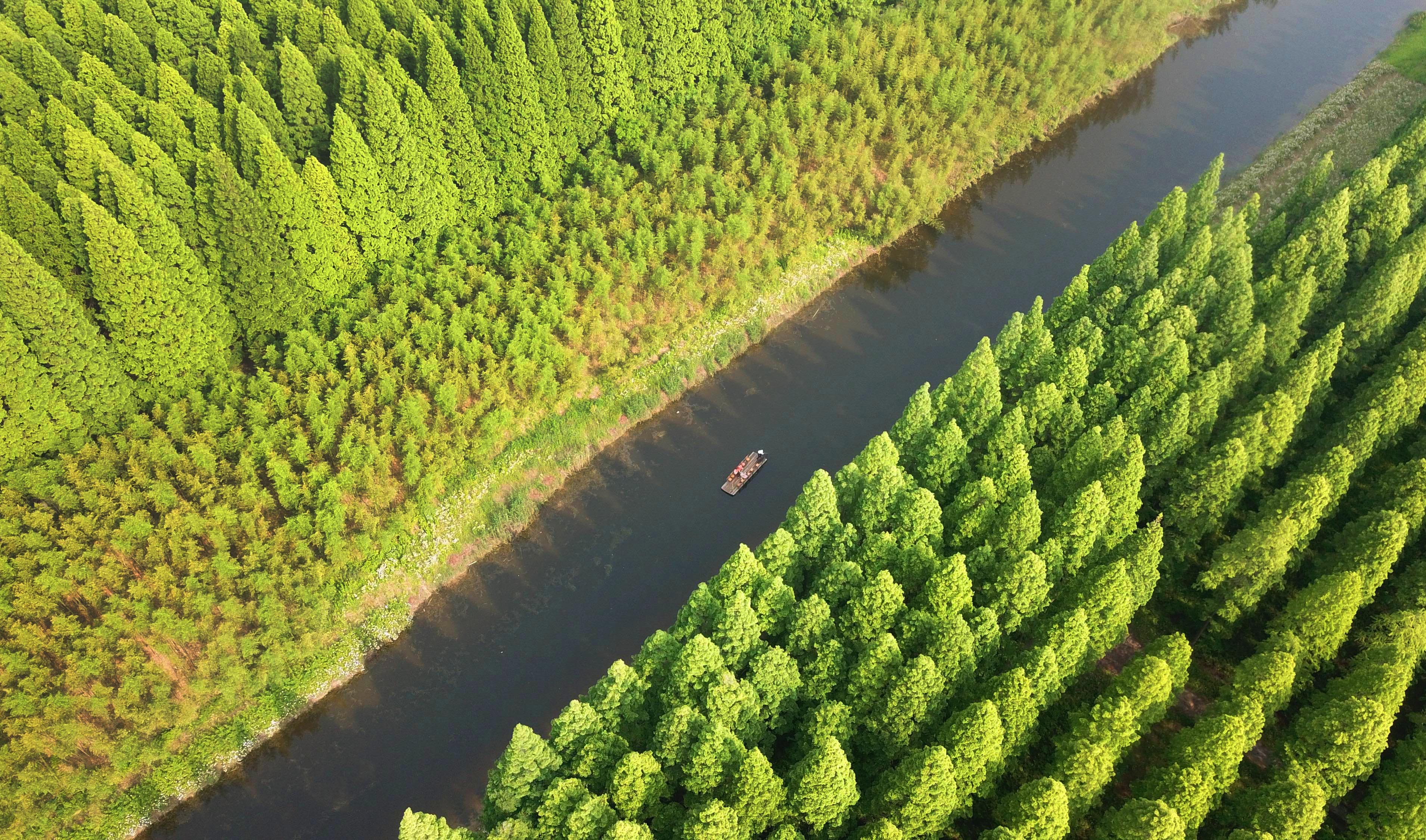 江苏黄海国家森林公园美如画(4)