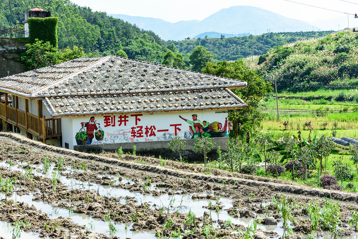全村人的希望