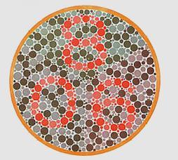 6张色盲检测图,看得到动物"马",恭喜!驾照是你的