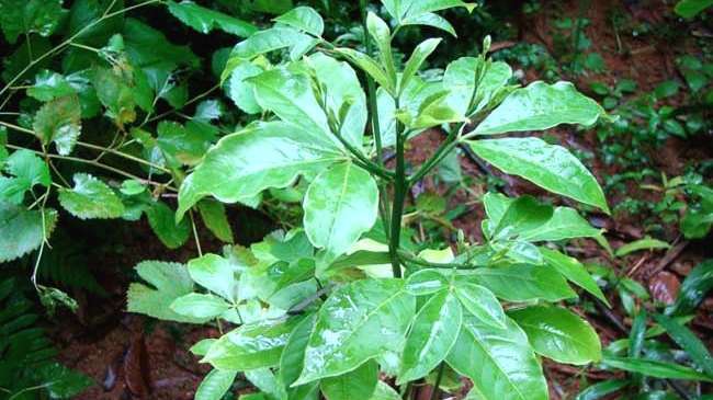 翻- 热门商品专区