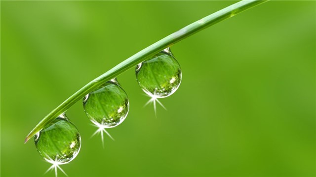 趣味测试:图中4滴水珠哪滴会掉下来?测你内心是天使还是恶魔!