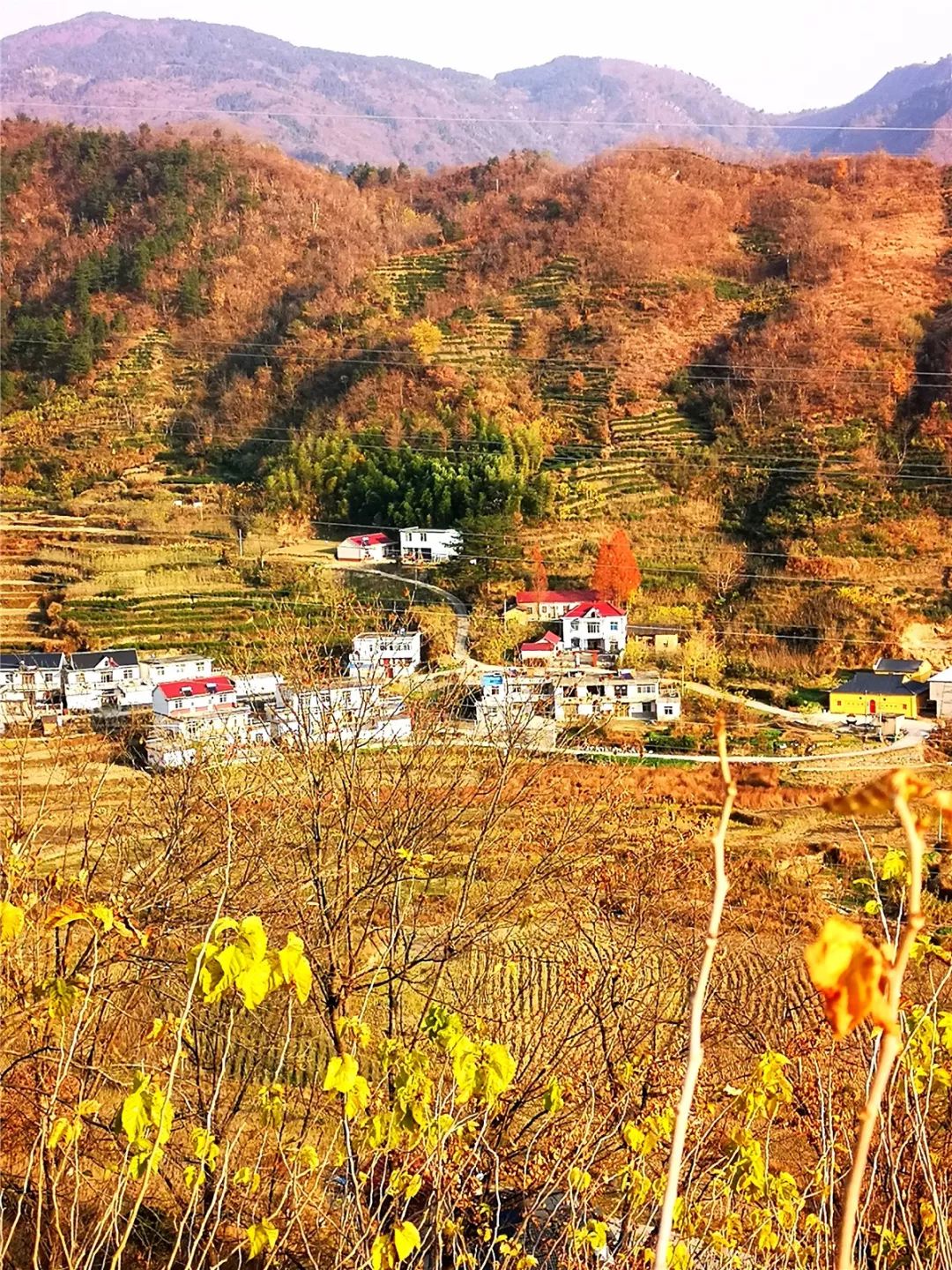 「美图欣赏」美丽乡村行一一岳西温泉镇桃岭村!