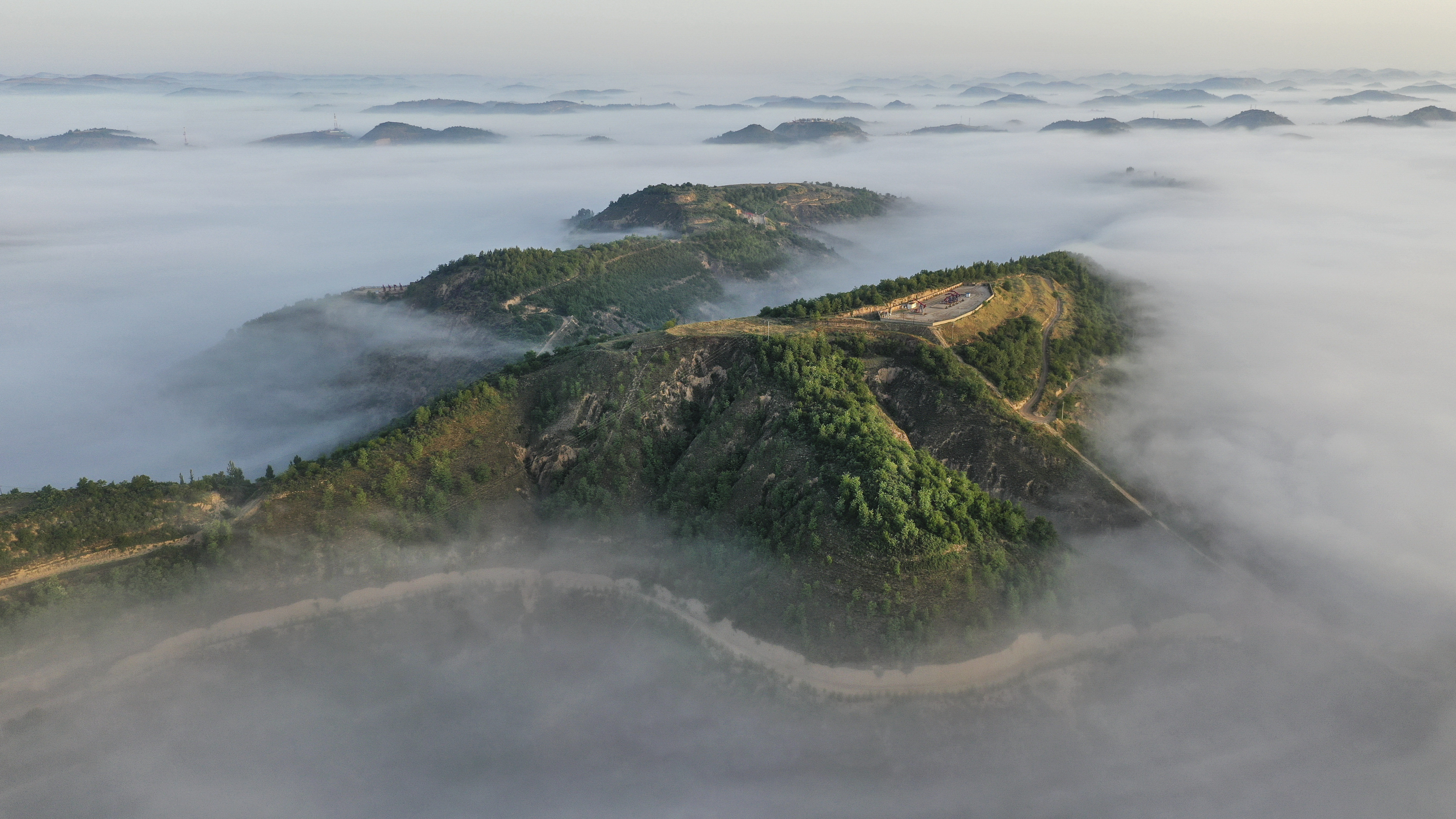 退耕还林二十年 黄土高坡现仙境(4)