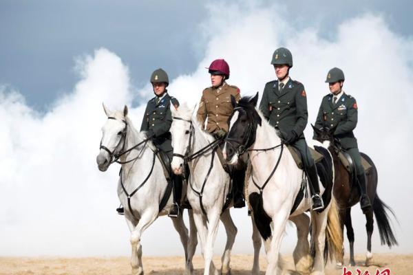 荷兰皇家卫队骑兵在烟雾中训练