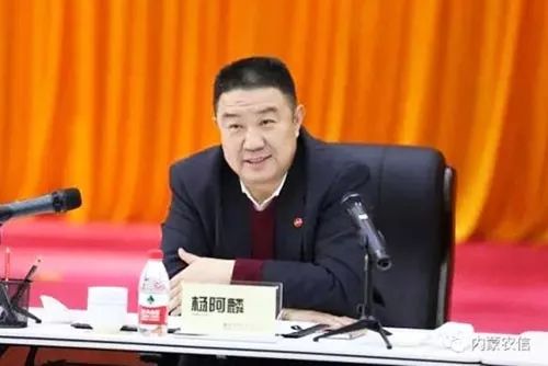 金融反腐风暴来袭!内蒙农信杨阿麟被查,好戏还在后头!