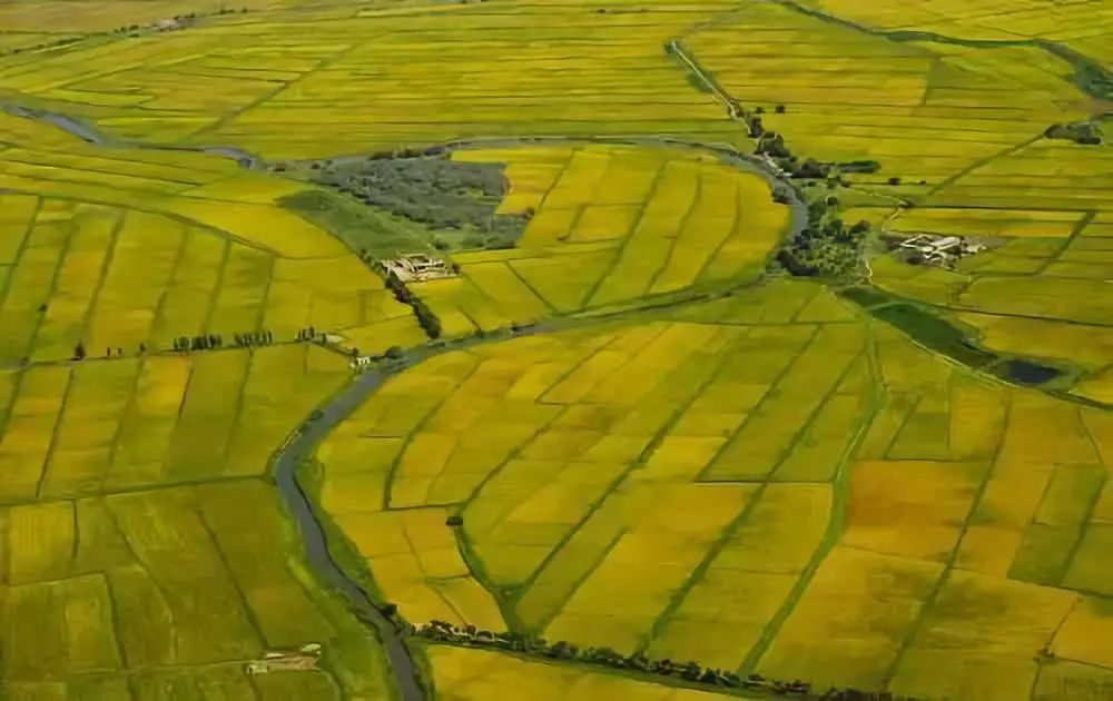 plain 平原丨外教讲故事