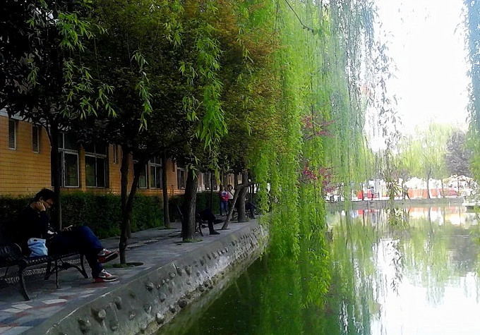 小学必背古诗:村居,清,高鼎