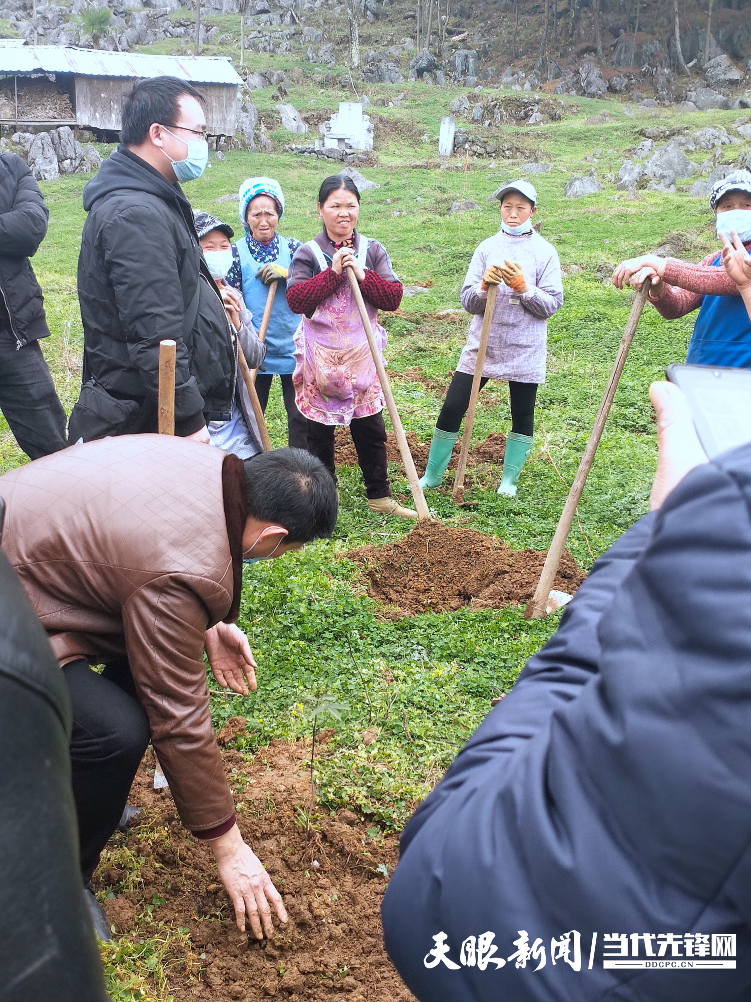 长顺:技术打包送农户,地里种上"摇钱树"