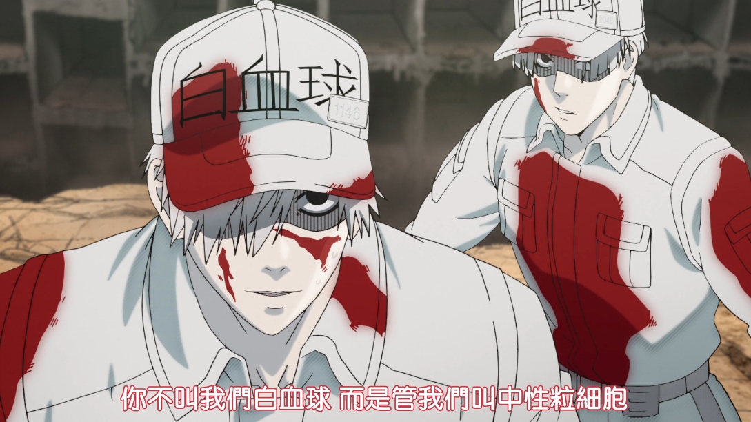 工作细胞,既好看又科普的良心动漫