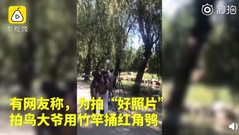 残忍杀妻,晋城"兰亭书院杀人案"一审宣判