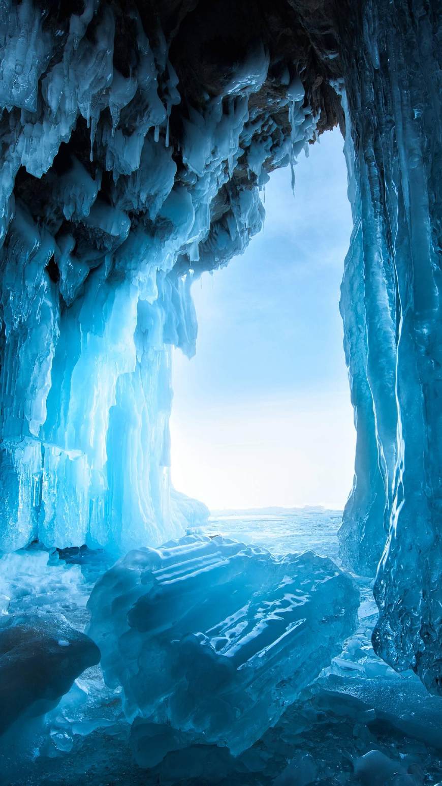 大利兄弟身边的女人与幕后凶手猜测