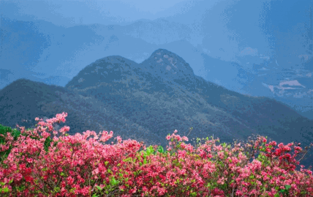 639_402gif 动态图 动图