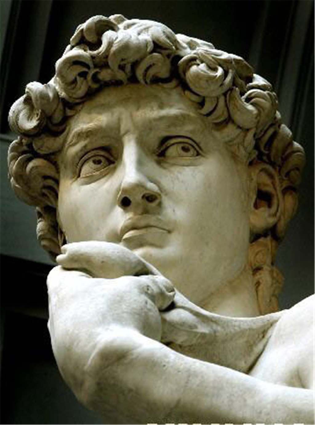 世界史:米开朗琪罗,他的精湛雕刻艺术,大卫模型真的找到了吗