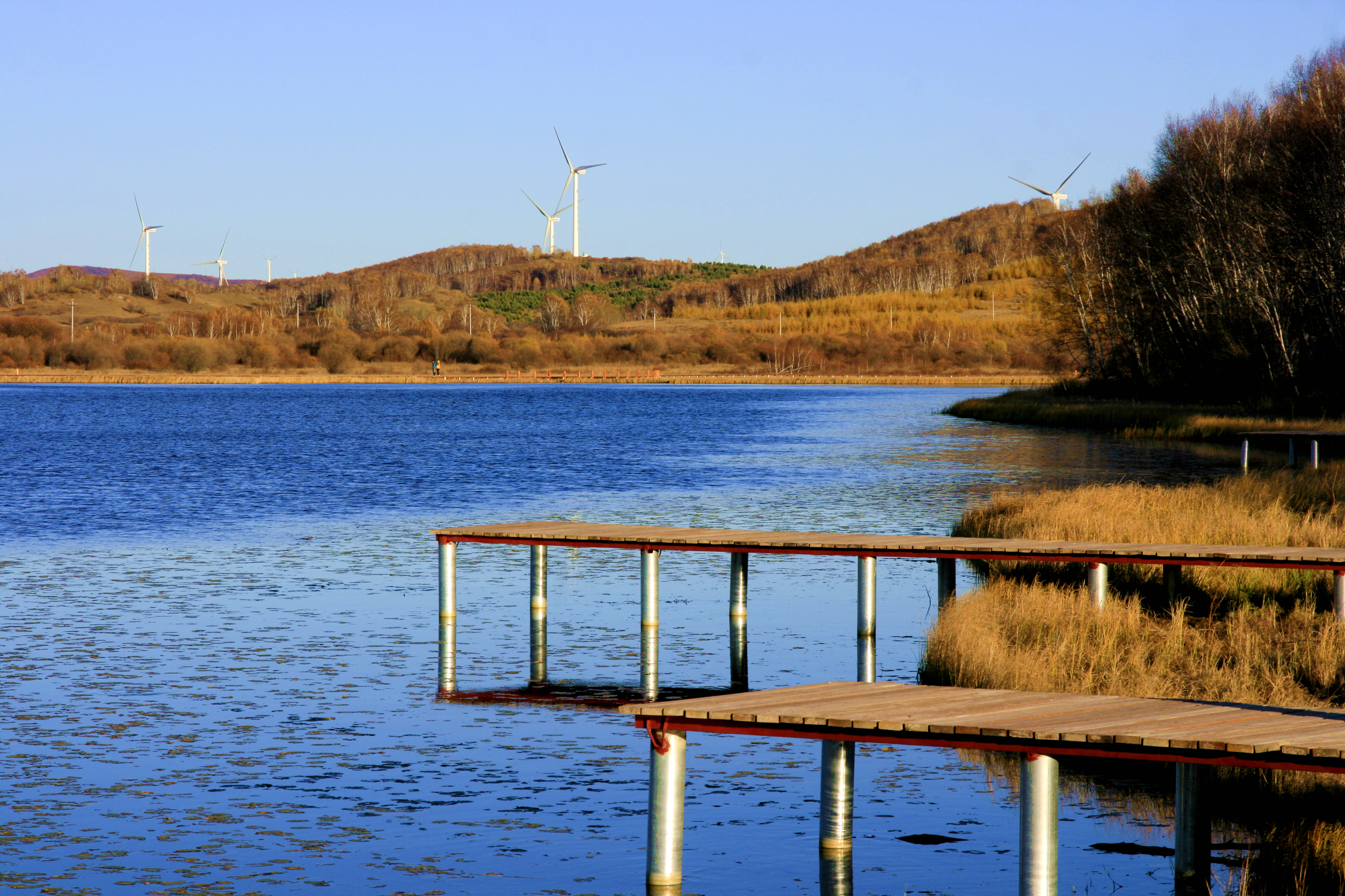 地理答啦旅行摄影:河北承德木兰围场,坝上草原无限美好风光