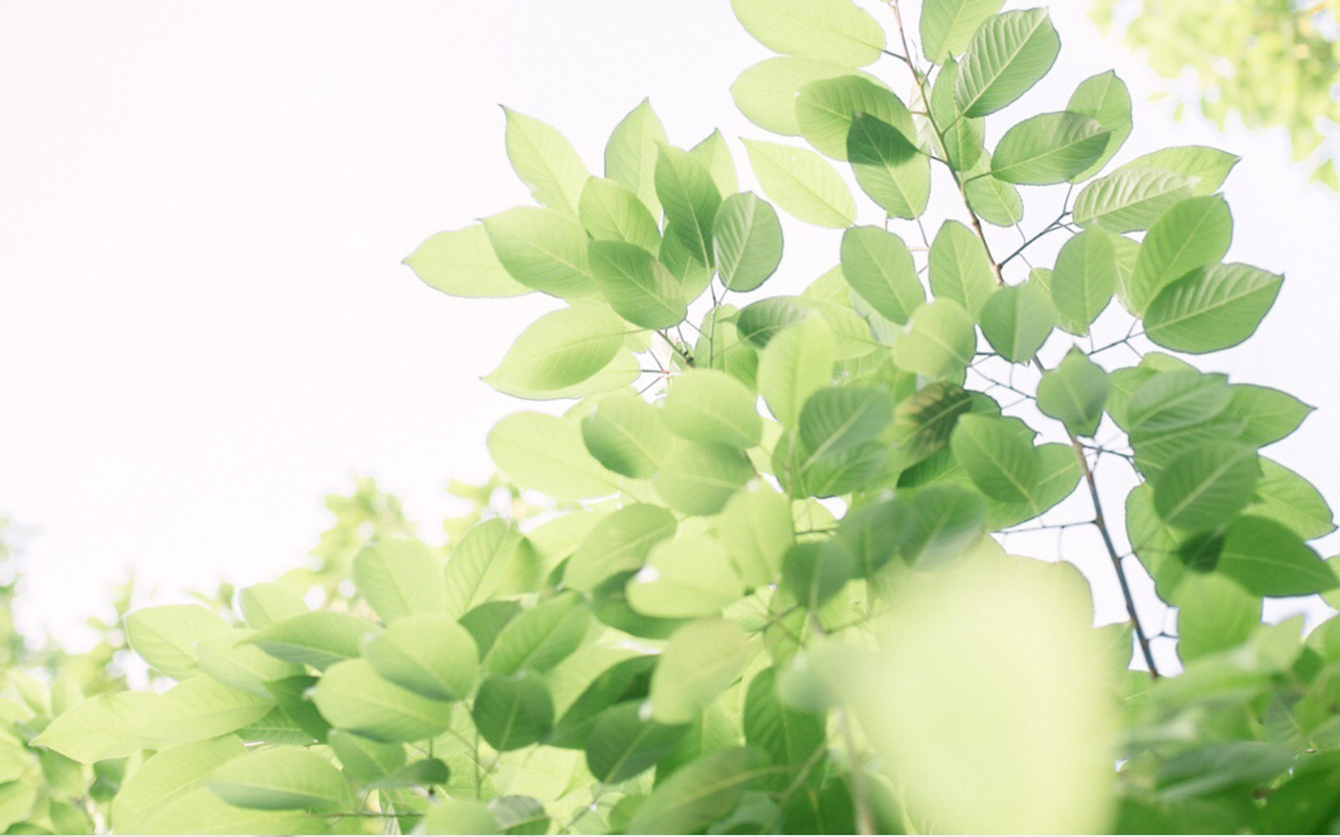 如果可以,愿你别太懂事