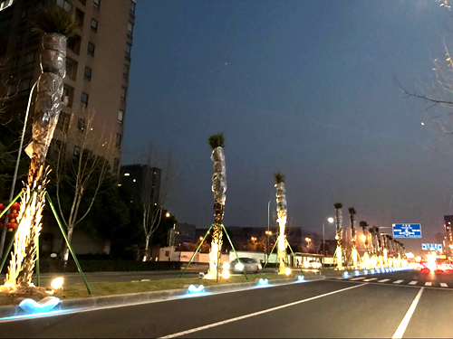 璀璨夜宁波!宁穿路,宁东路,河清路明天亮灯