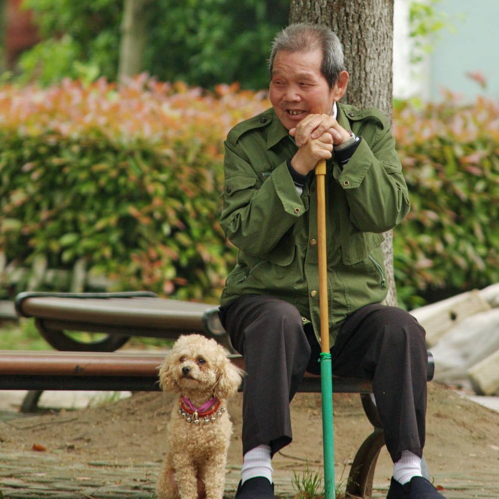 老人对宠物感情更深厚的原因,与子女的很少陪伴有密不可分的联系