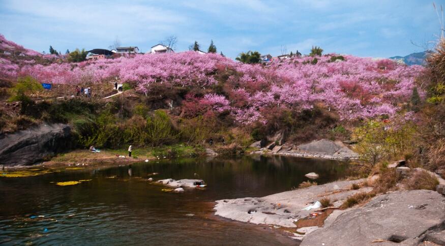 最不欢迎中国游客的国家,不是越南,是这国家费用让游客望而止步