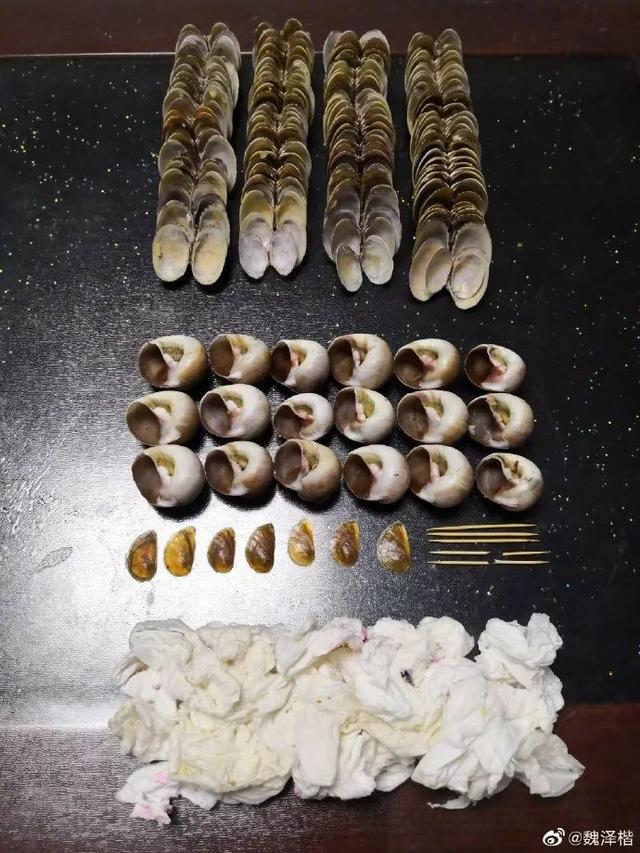 “你是什么垃圾”上海朋友垃圾分类真的太拼了！外地游客瑟瑟发抖