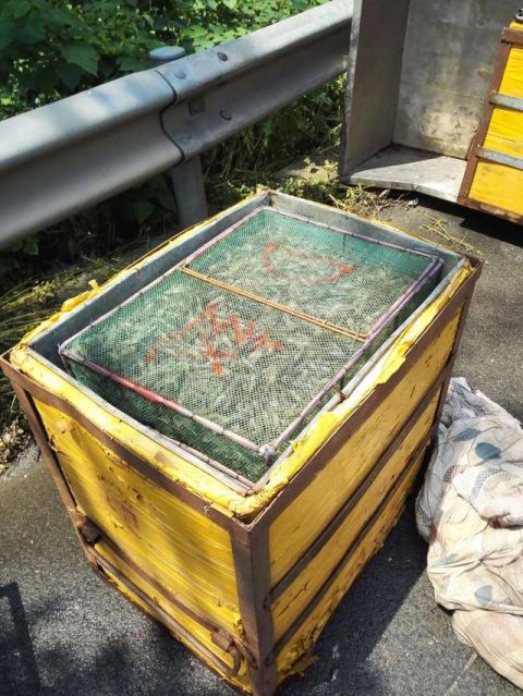 运虾车又出事了 这次装的是价格更贵的河虾