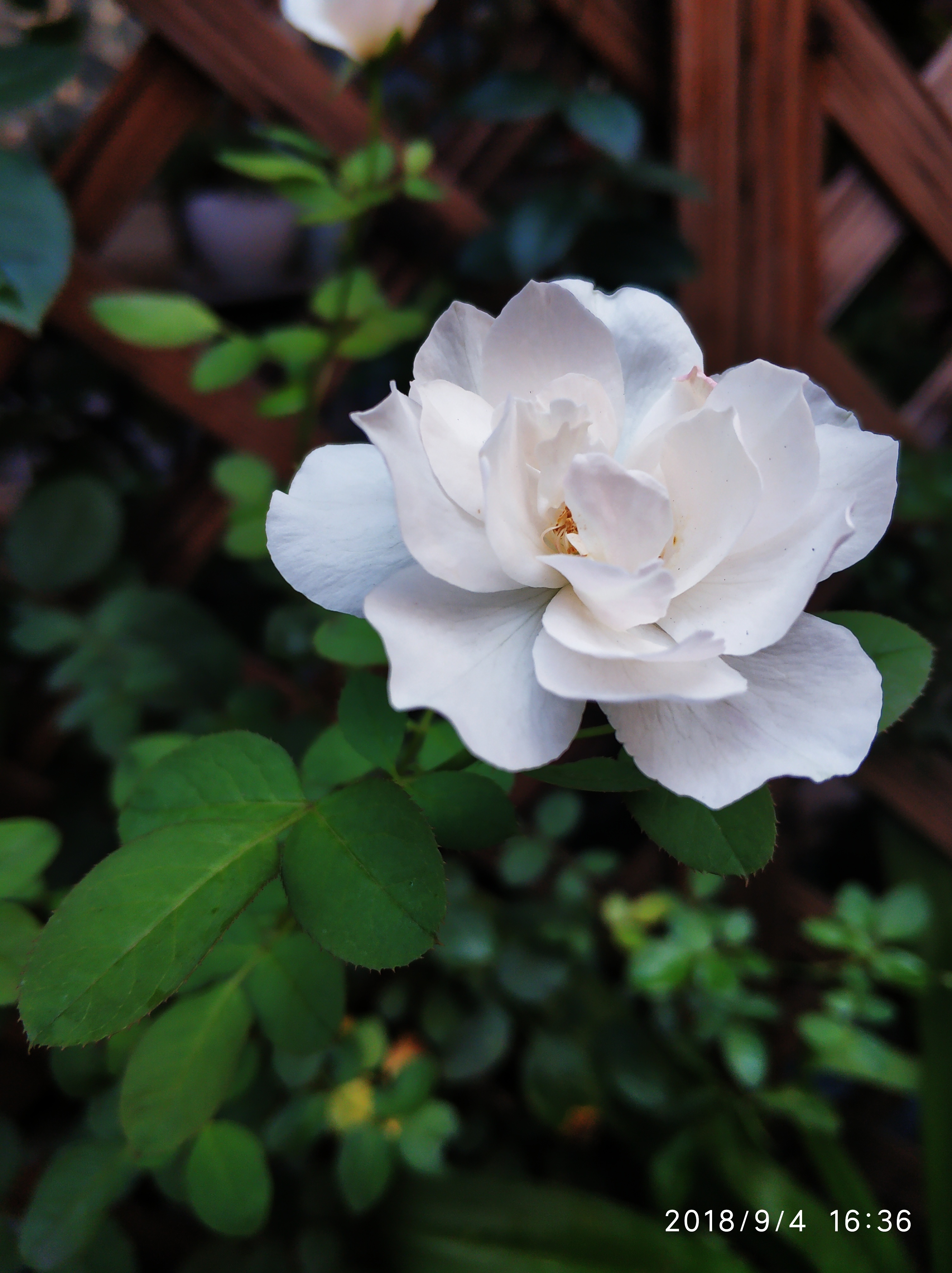 枯骨梧笙 百家号12-0718:53 我想,在传统的观念里,女孩子年轻时就应该