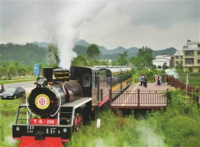 上犹:森林小火车满载游客游览风景
