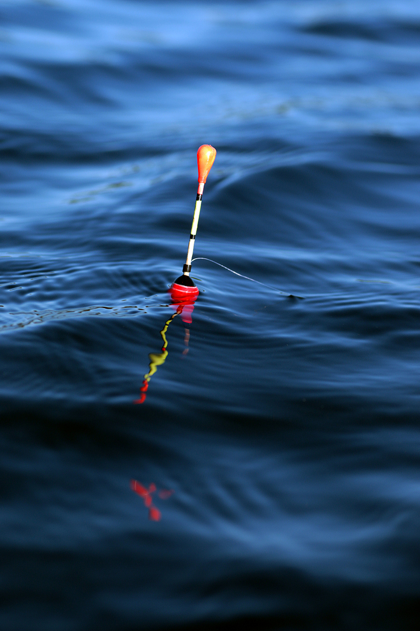 野钓调漂#  野钓调漂是指在自然水域中使用浮漂进行钓鱼的技巧,大