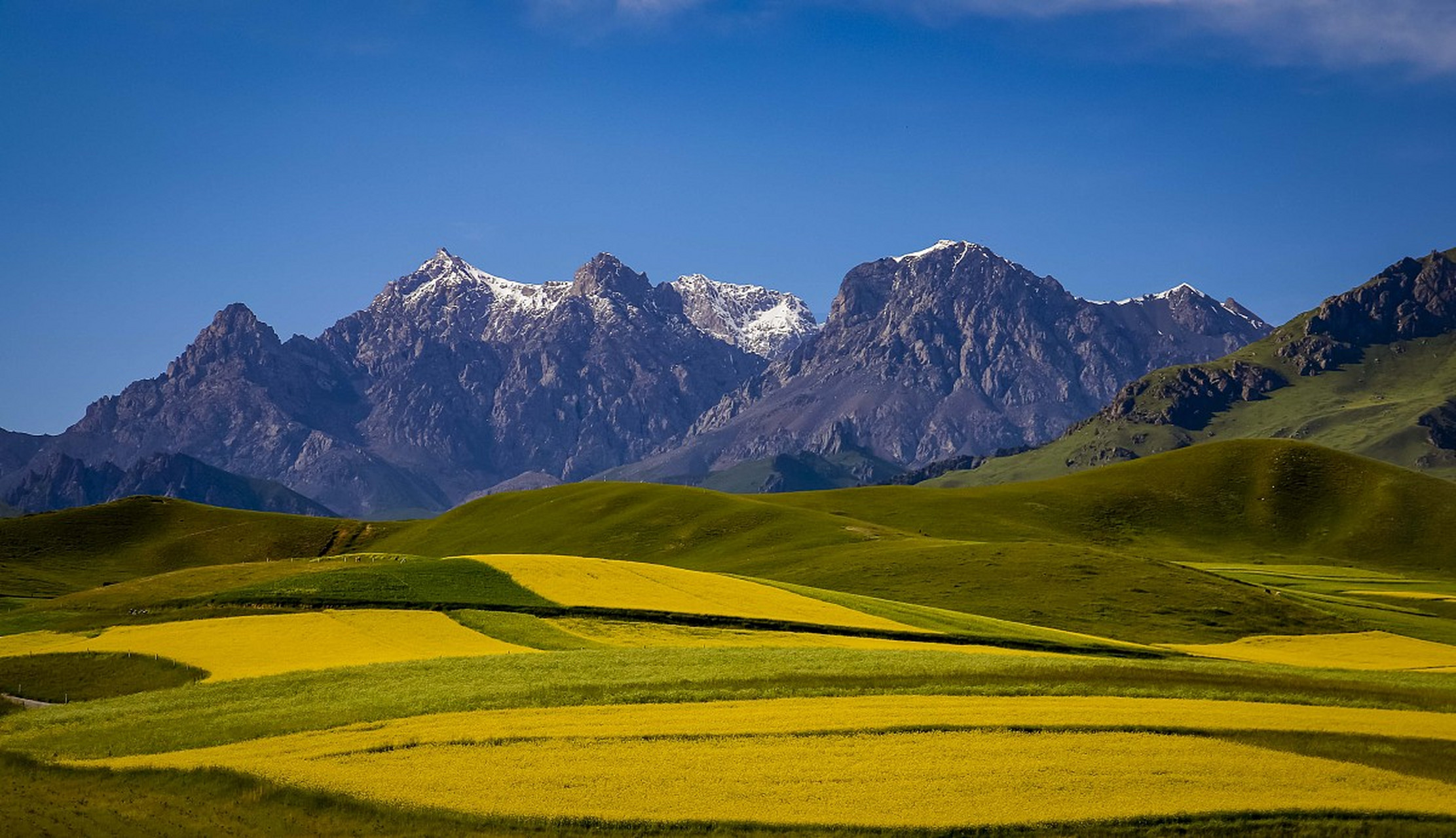 分享图片祁连山风景