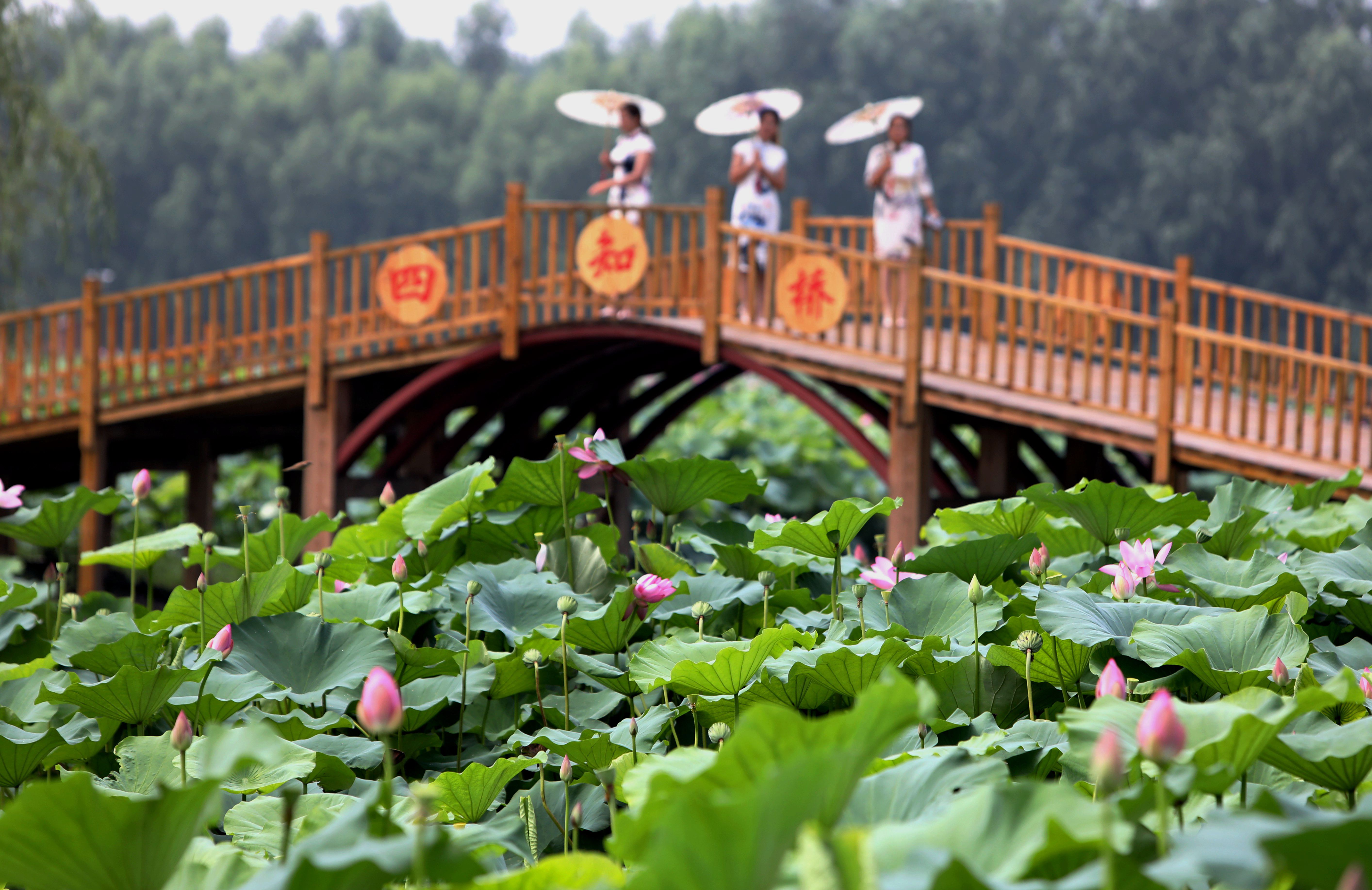 香河游玩图片