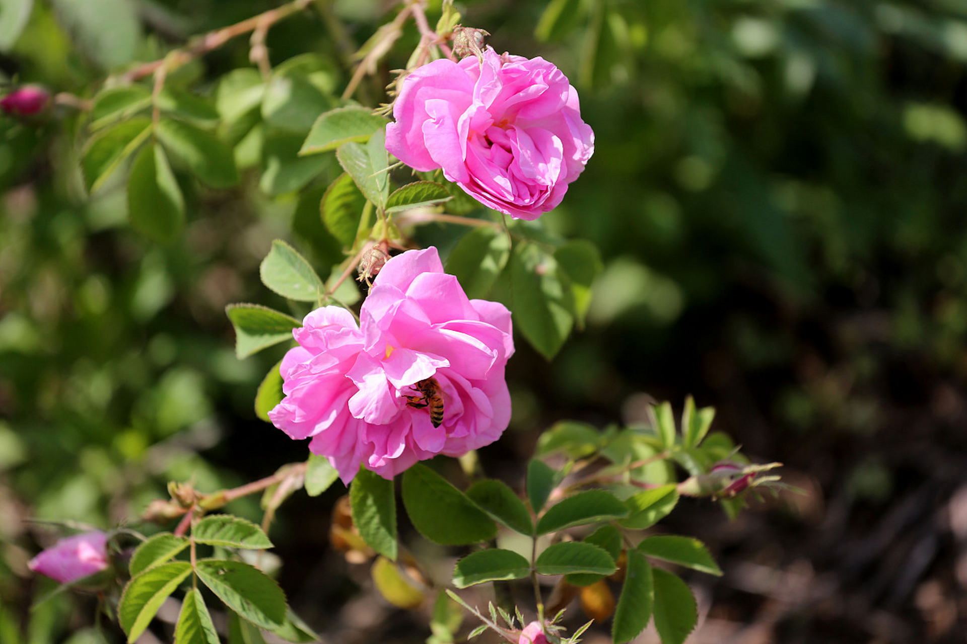 "我惊讶地看着她,连忙问道:"怎么了?发生什么事了吗?