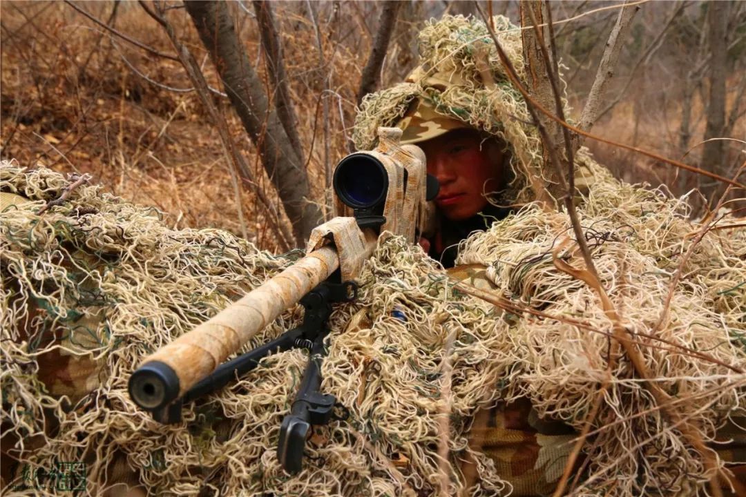 特战尖兵对决!海军陆战队某旅组织新年度狙击手集训