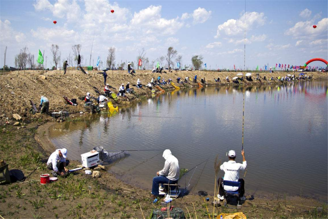 黑坑垂钓突然没口,是什么原因?看老钓友都是怎么应对的