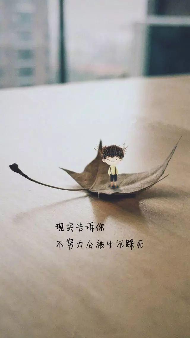 微信哲理的励志心灵鸡汤唯美感悟句子