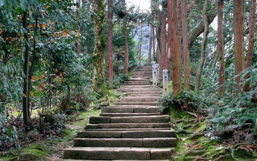 青城山素有"青城天下幽"的美誉,全山林木青翠,诸峰环