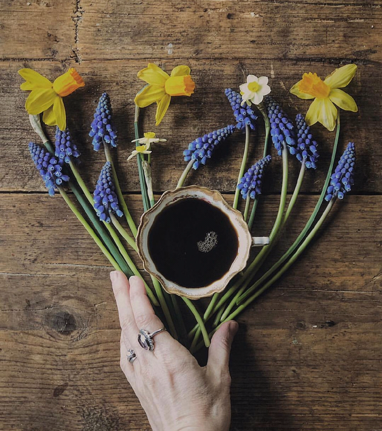 有花的小生活,充满着文艺气息,又是被生机与活力唤醒的一天啊!