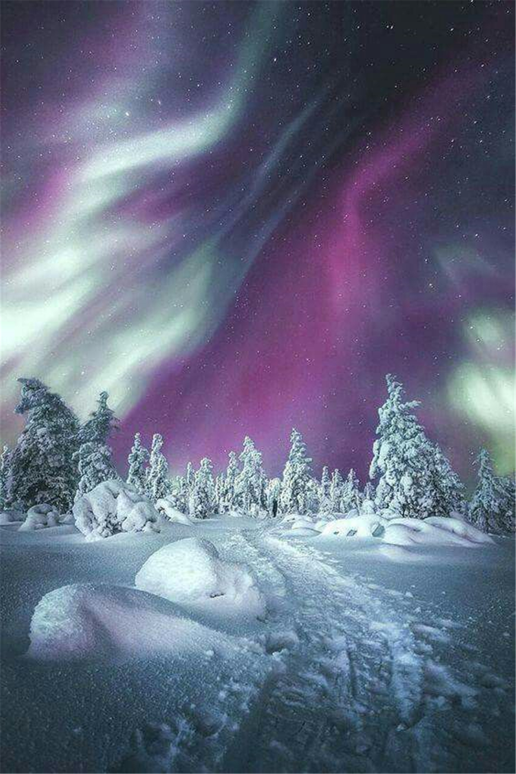 芬兰的奇幻世界—美丽北极光和冰雪奇缘邂逅的冒险旅程!
